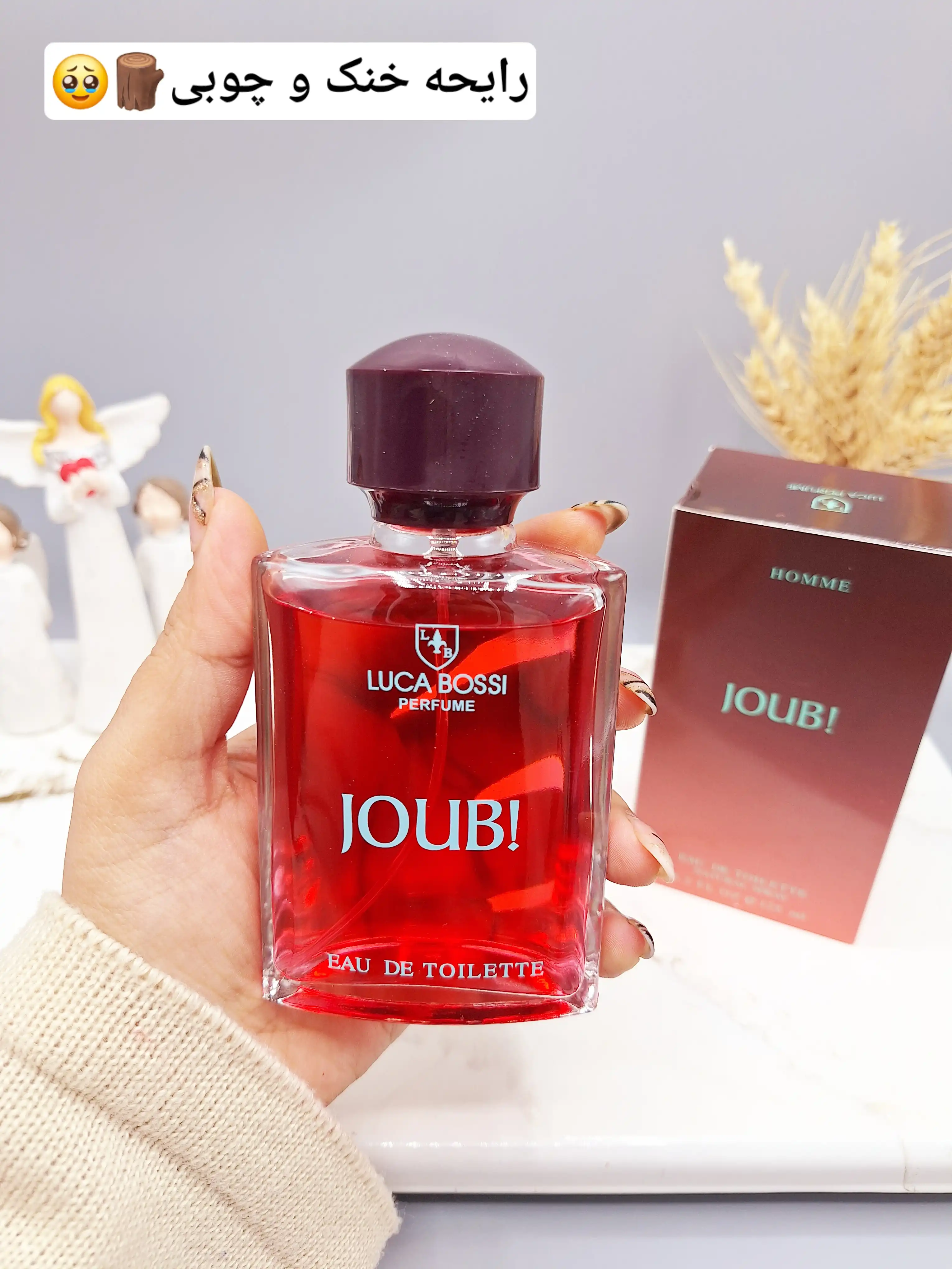 ادکلن مردانه جوب JOUB کد 4345